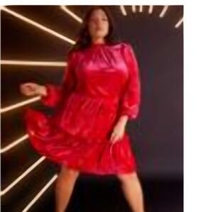 Eloquii elements burnout velvet dress